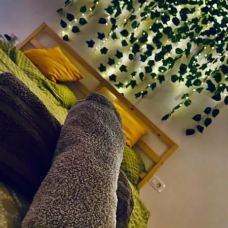 Dekan Forest Apartments Timisoara Dumbravita  Extérieur photo