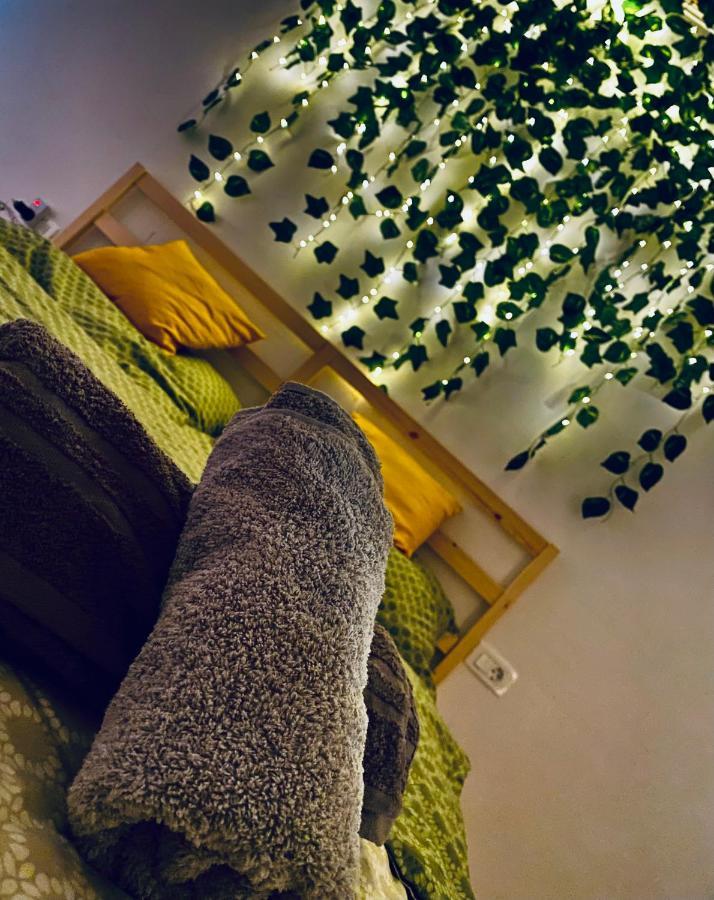 Appartement Dekan Forest Timisoara *