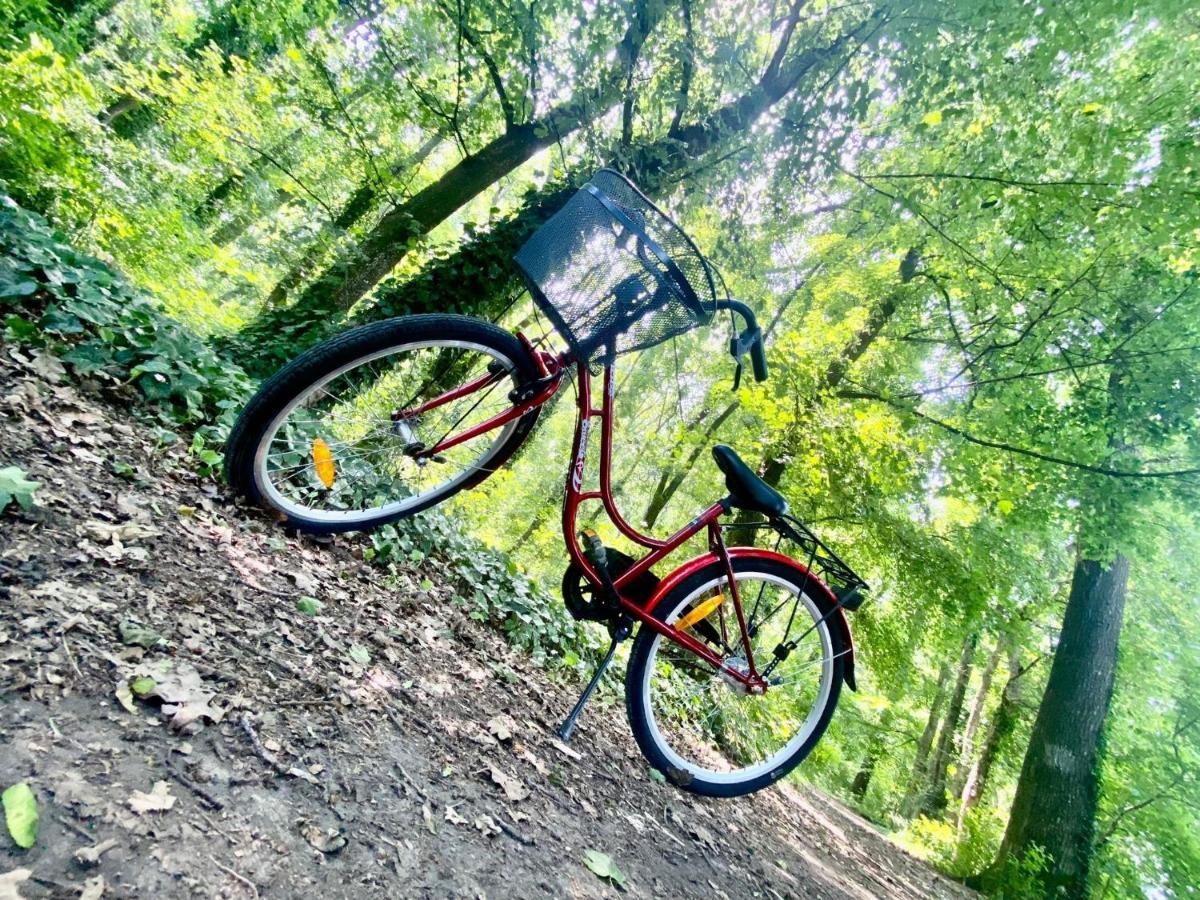 Appartement Dekan Forest Timisoara *